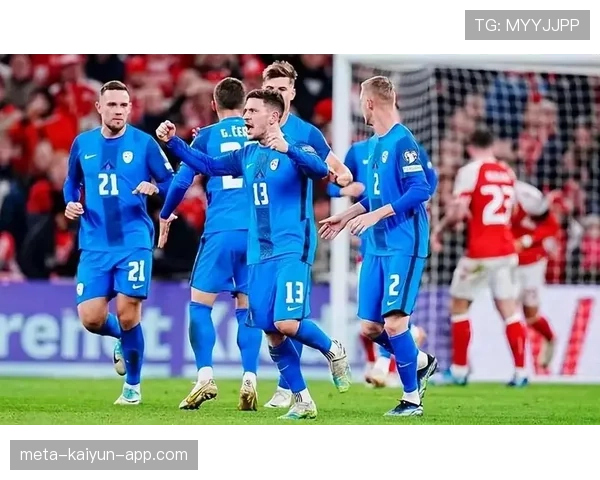 判罚成为焦点，斯洛文尼亚是否真的被“吹掉”胜机？